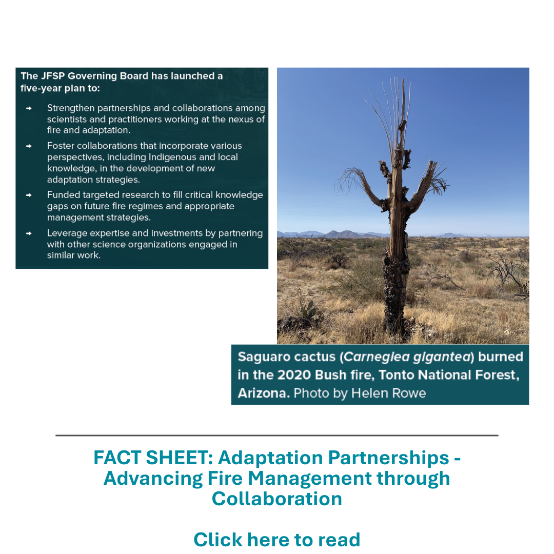 Adaptation Partnerships