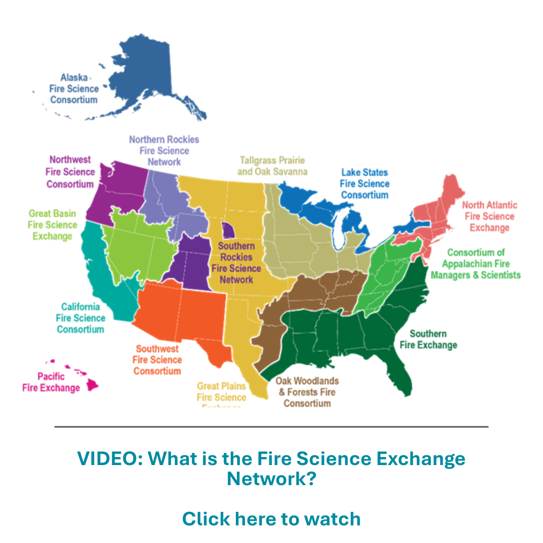 FSEN Video