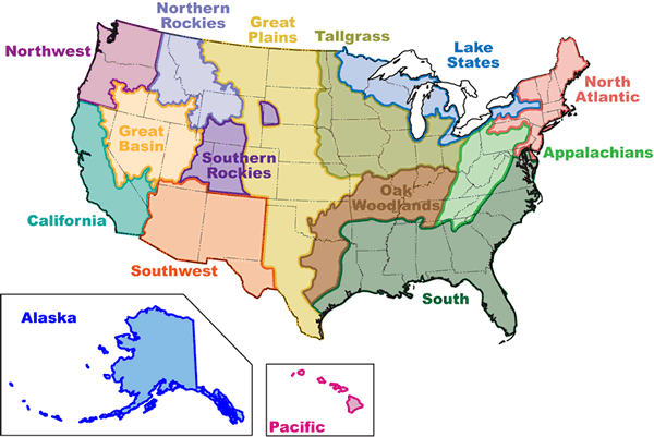 Consortia map