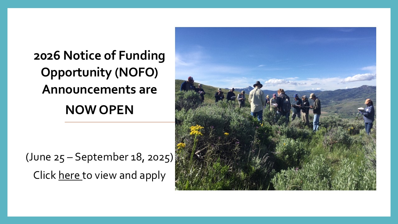 2026 NOFO