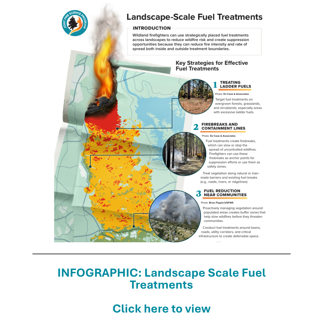 Landscape Scale Infographic
